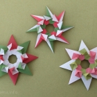 Stella festiva - Holiday Star and variation