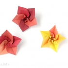 Modular origami flowers