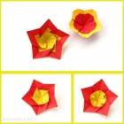 Modular origami flowers