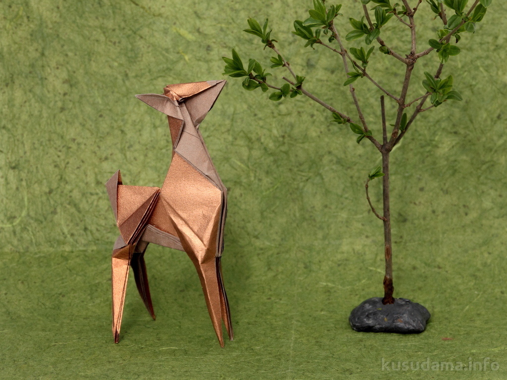 Deer by Fabiana Sanapanya