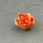 Rose of Kade Chan