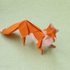 Fox by Hoang Tien Quyet