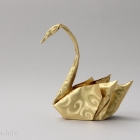 Swan by Hoang Tien Quyet