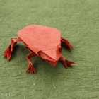 Frog by Leonardo Pulido Martinez