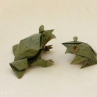 Frogs by Roman Diaz